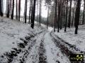 Endmoränen-Landschaft des Niederlausitzer Grenzwalls am Königsberg bei Gehren, Niederlausitz-Spreewald, Brandenburg, (D) (9) 24.01.2015.JPG